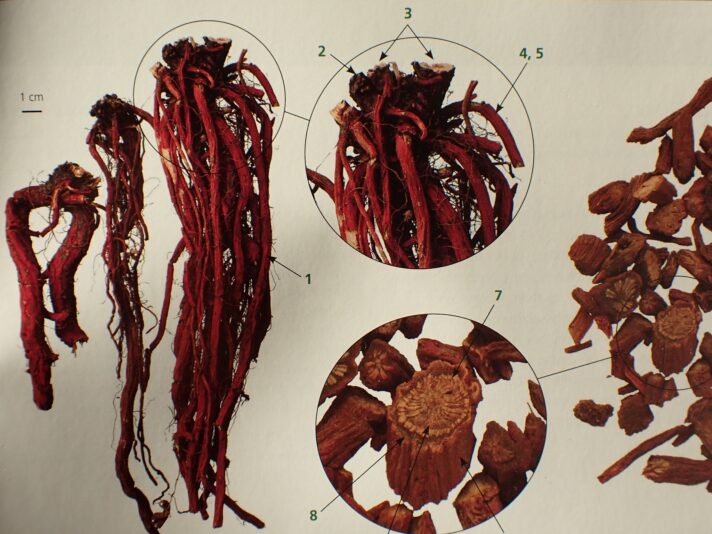 462707060_10234430374525422_8249035178343724544_n