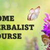 New Home Herbalist Course: Summer Sale! Over 1/2 Off!