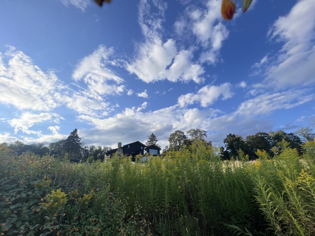 Herb Whisperer Organic Farm