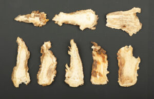 Danggui, sliced root (Angelica sinensis) danggui pian