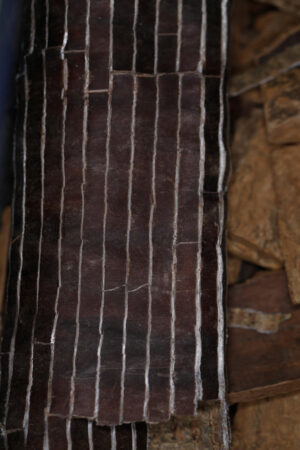 Eucommia bark, medium (Eucommia ulmonoides) duzhong