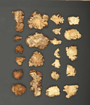 Ligusticum, Chinese (Ligusticum chuanxiong) chuanxiong