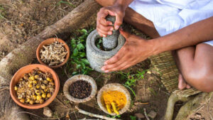 Lesson 4 An Introduction to Ayurveda