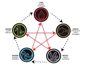 Lesson 6 Five Phase Theory in Chinese Medicine