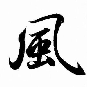 Lesson 9 Disease Causes in Chinese Medicine