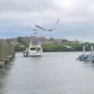 Profile photo of Laura